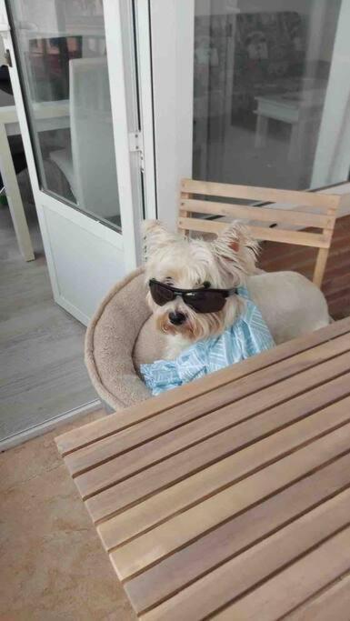 Nice Apartment Near The Sea 또레비에하 외부 사진